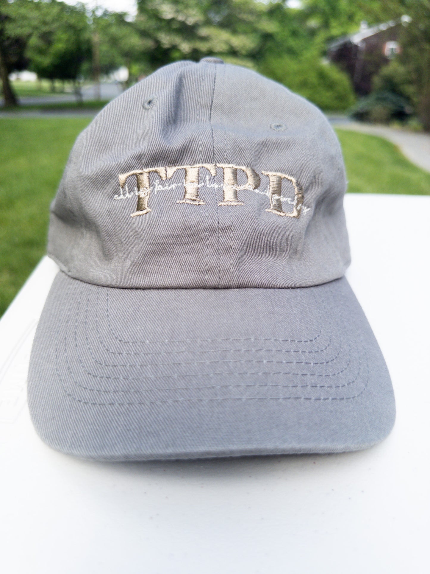 Poet Department || TayTay Embroidered Hat - Customizable