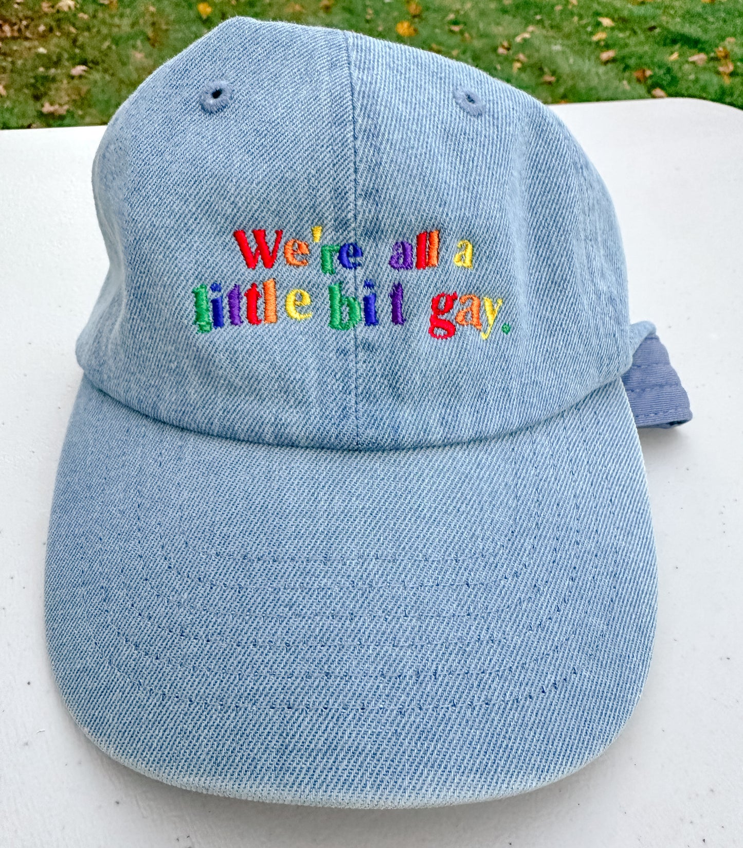 We're All A Little Bit Gay || Harry Embroidered Hat