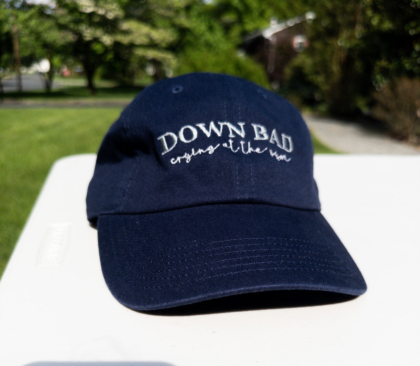 Down Bad ~ crying || TayTay Embroidered Hat - Customizable