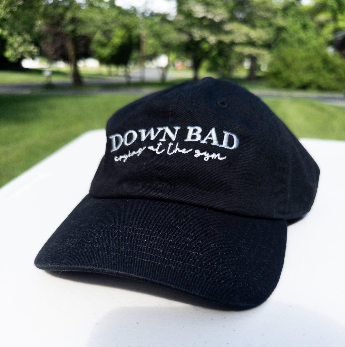 Down Bad ~ crying || TayTay Embroidered Hat - Customizable