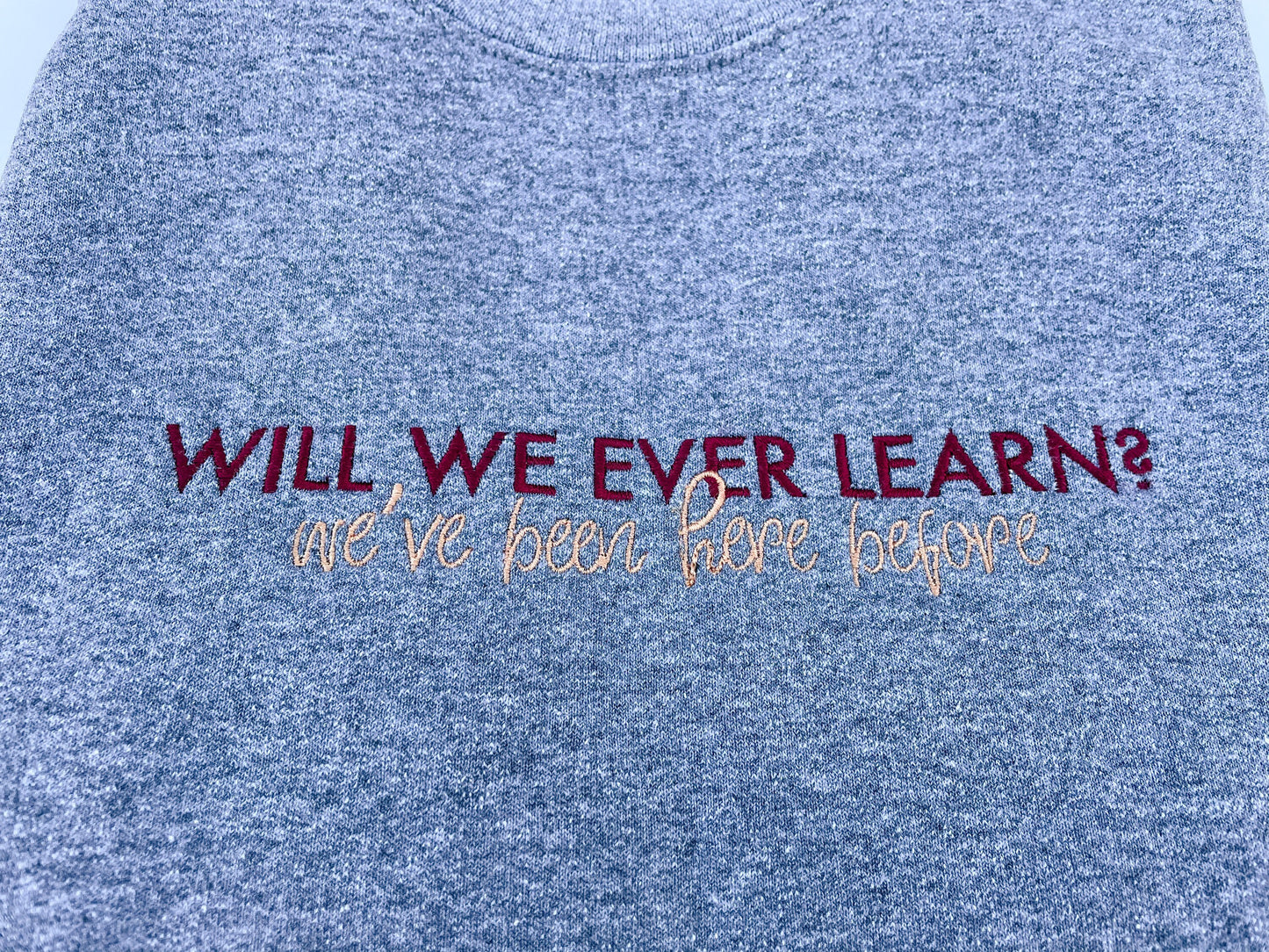 Will We Ever Learn? - SOTT || Embroidered Crewneck and Tee Shirt