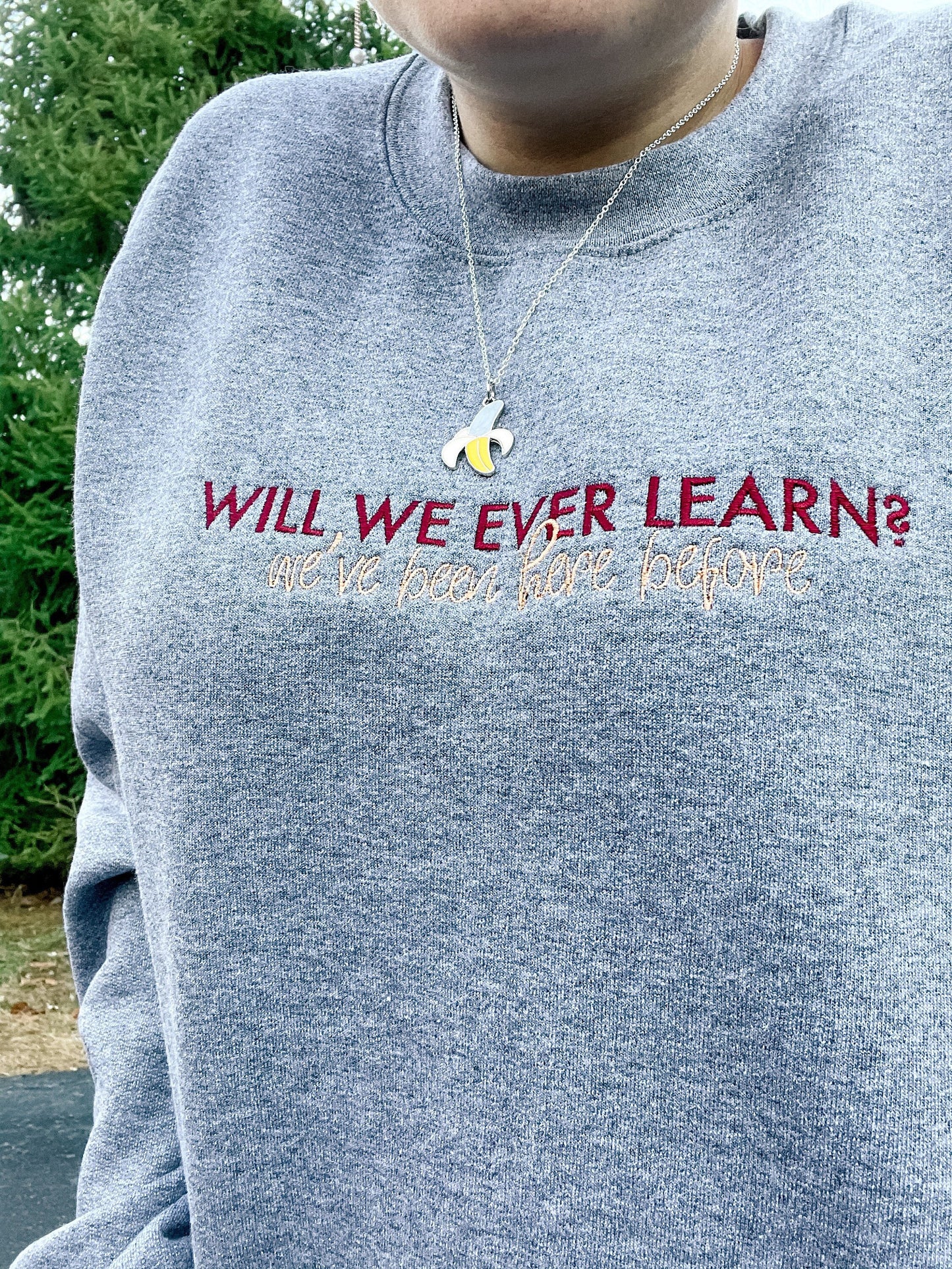 Will We Ever Learn? - SOTT || Embroidered Crewneck and Tee Shirt