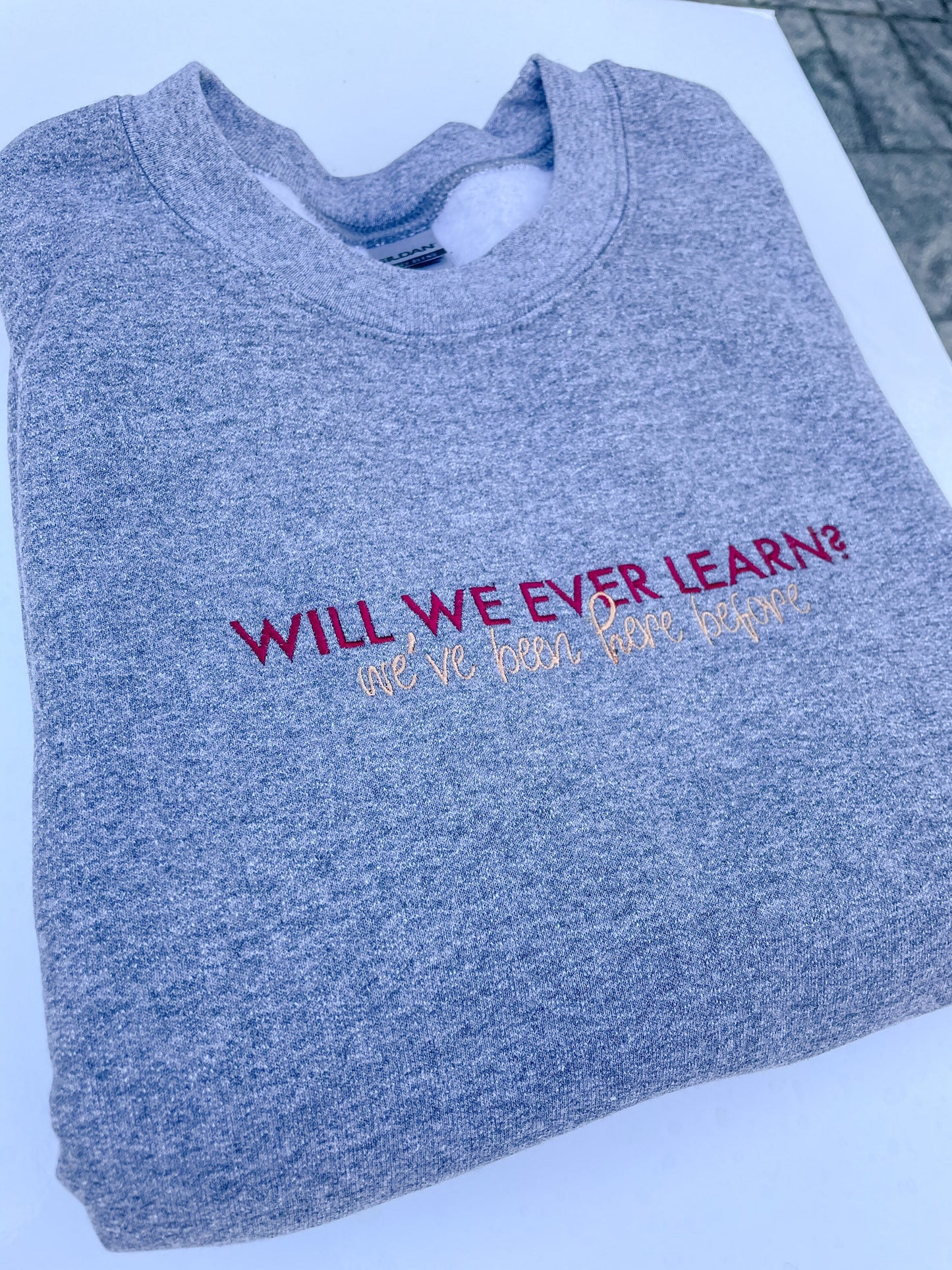 Will We Ever Learn? - SOTT || Embroidered Crewneck and Tee Shirt