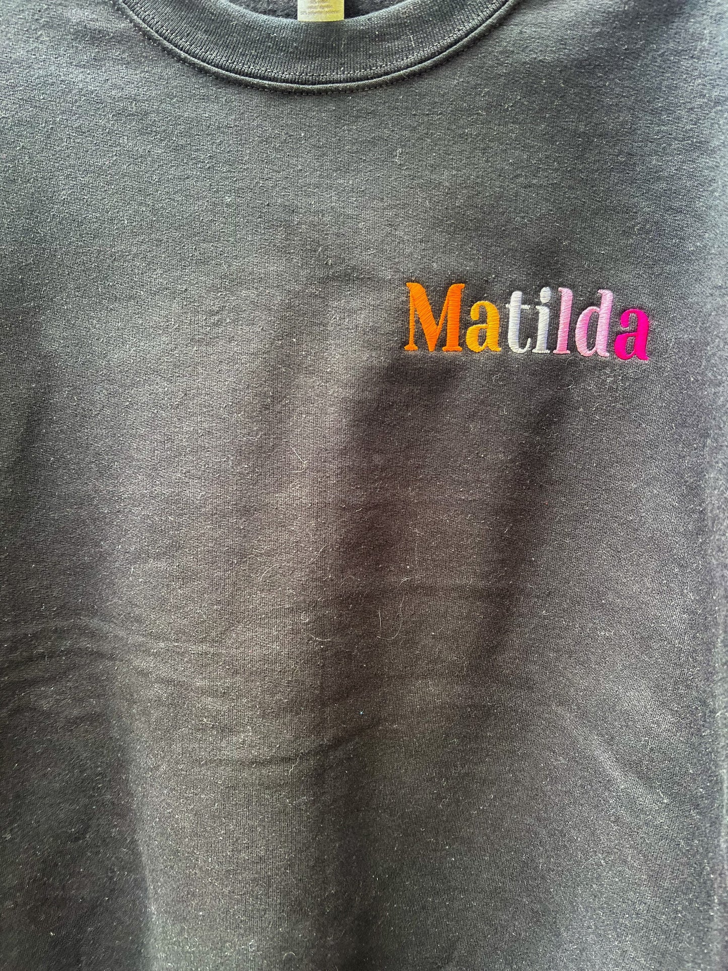 Matilda Pride || Harry Embroidered Crewneck, Sweatshirt, and Crop Top || Customizable thread to All Pride Flags